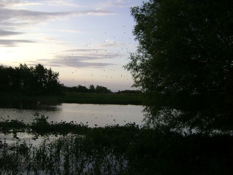 DSC00622