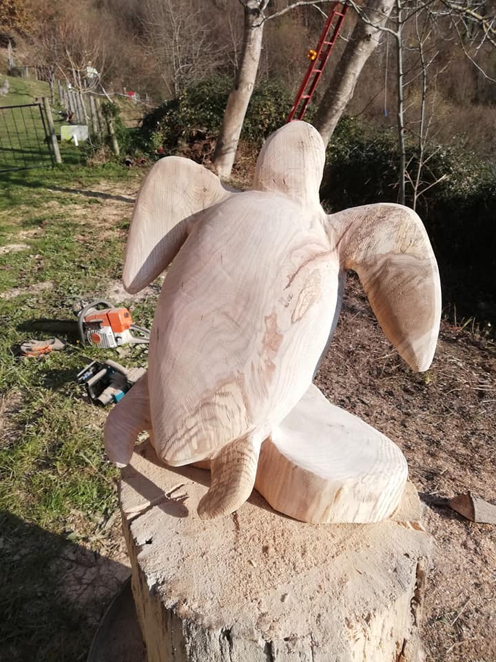 50508746_10218265996705056_5553410061100908544_n