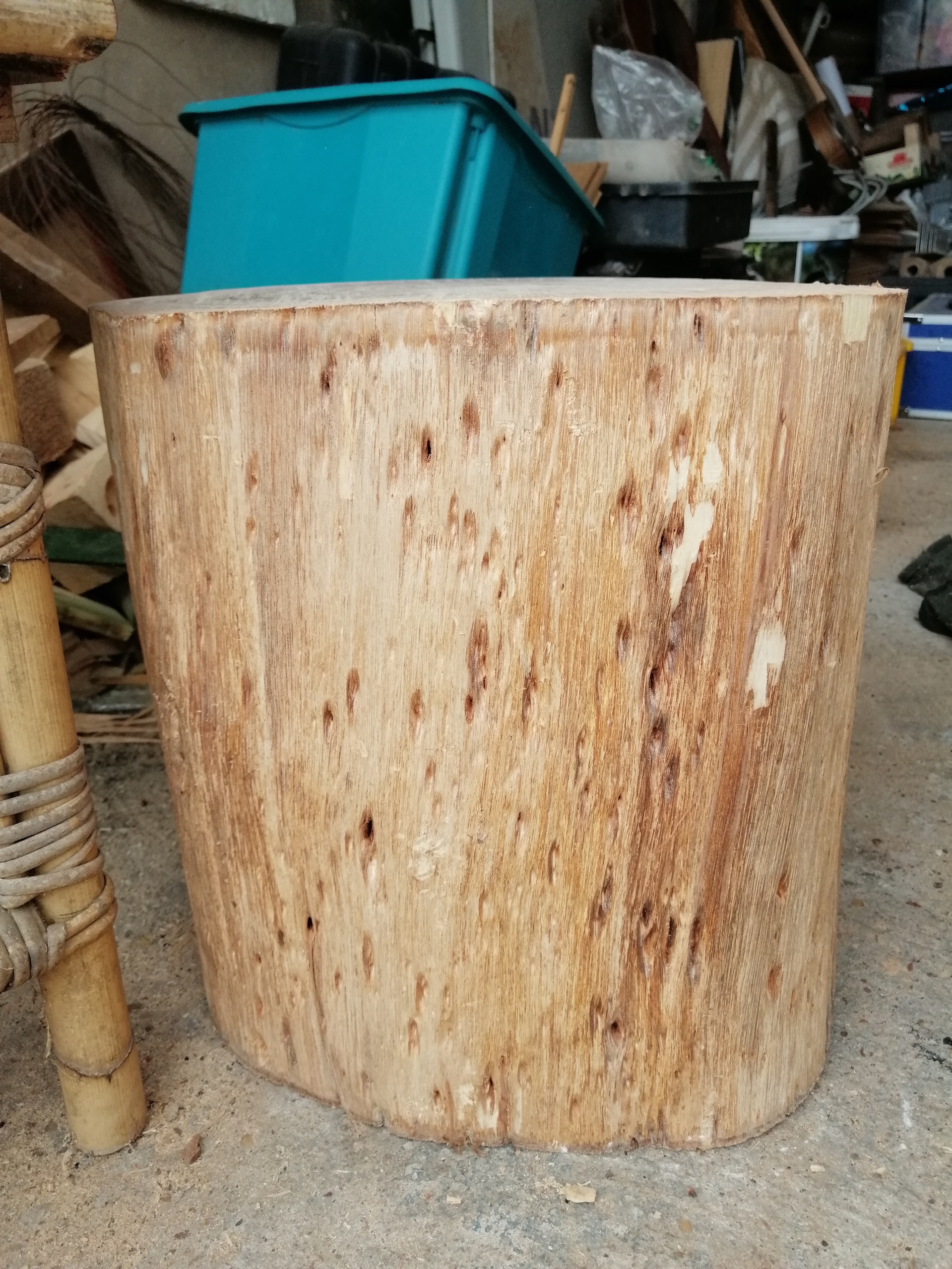 Qué madera es este tronco - Maderas y otros materiales - Foromadera