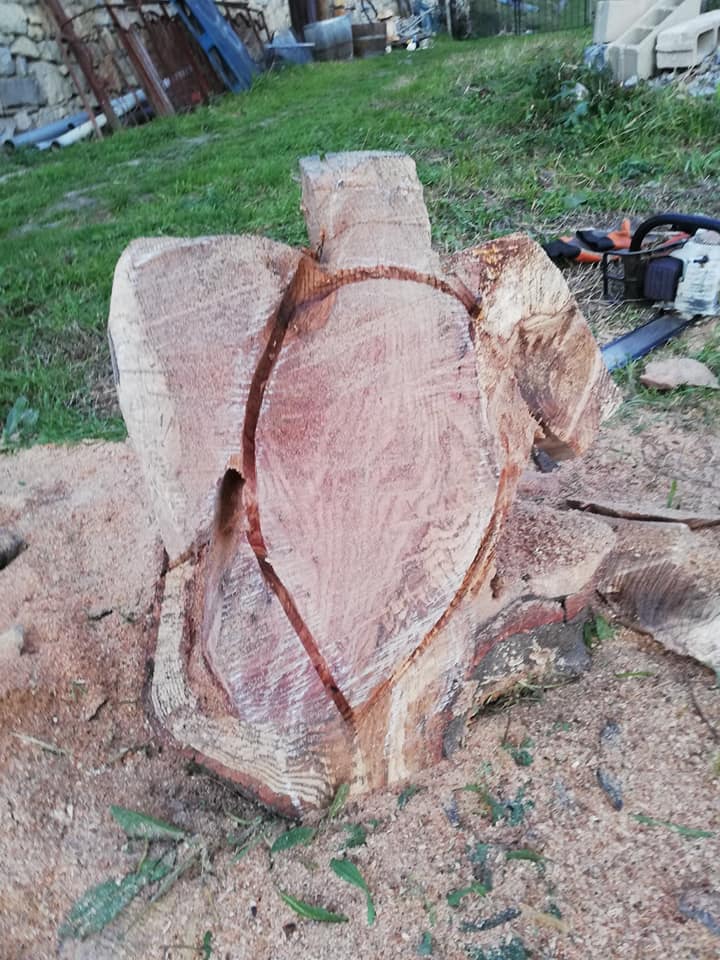 50628569_10218265995305021_1201692610599583744_n