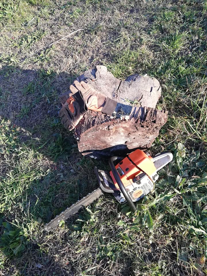 50650269_10218265994865010_511439650431172608_n