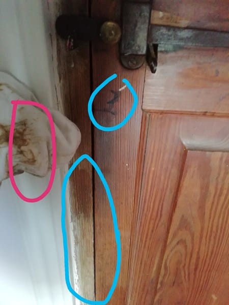 puerta