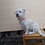 Sam_1